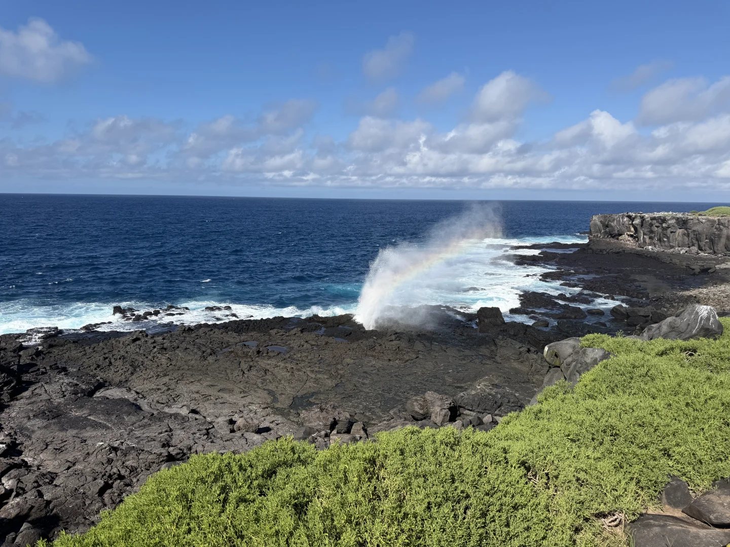 Punta Suárez 的海岸