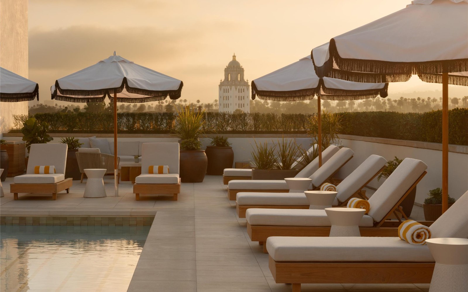 The rooftop pool at golden hour. The hedge hides the street; above it, palm crowns and the white tower of Beverly Hills City Hall
