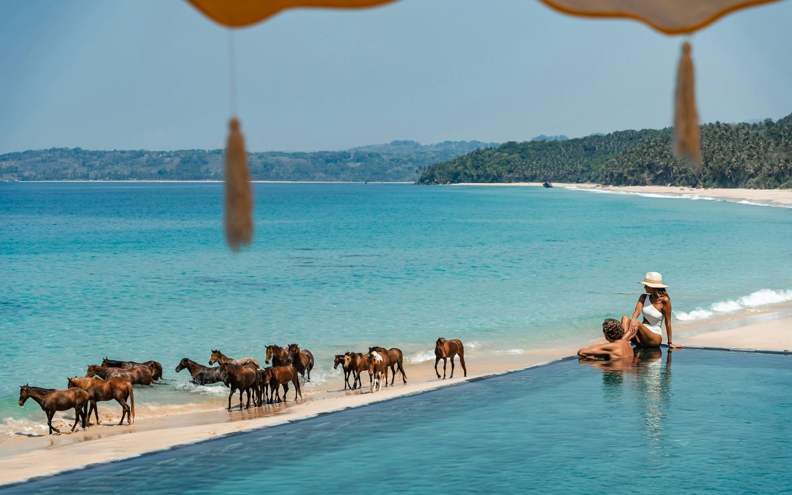 The herd walking the length of Nihiwatu Beach, the pool edge in the foreground meeting the horizon as one line