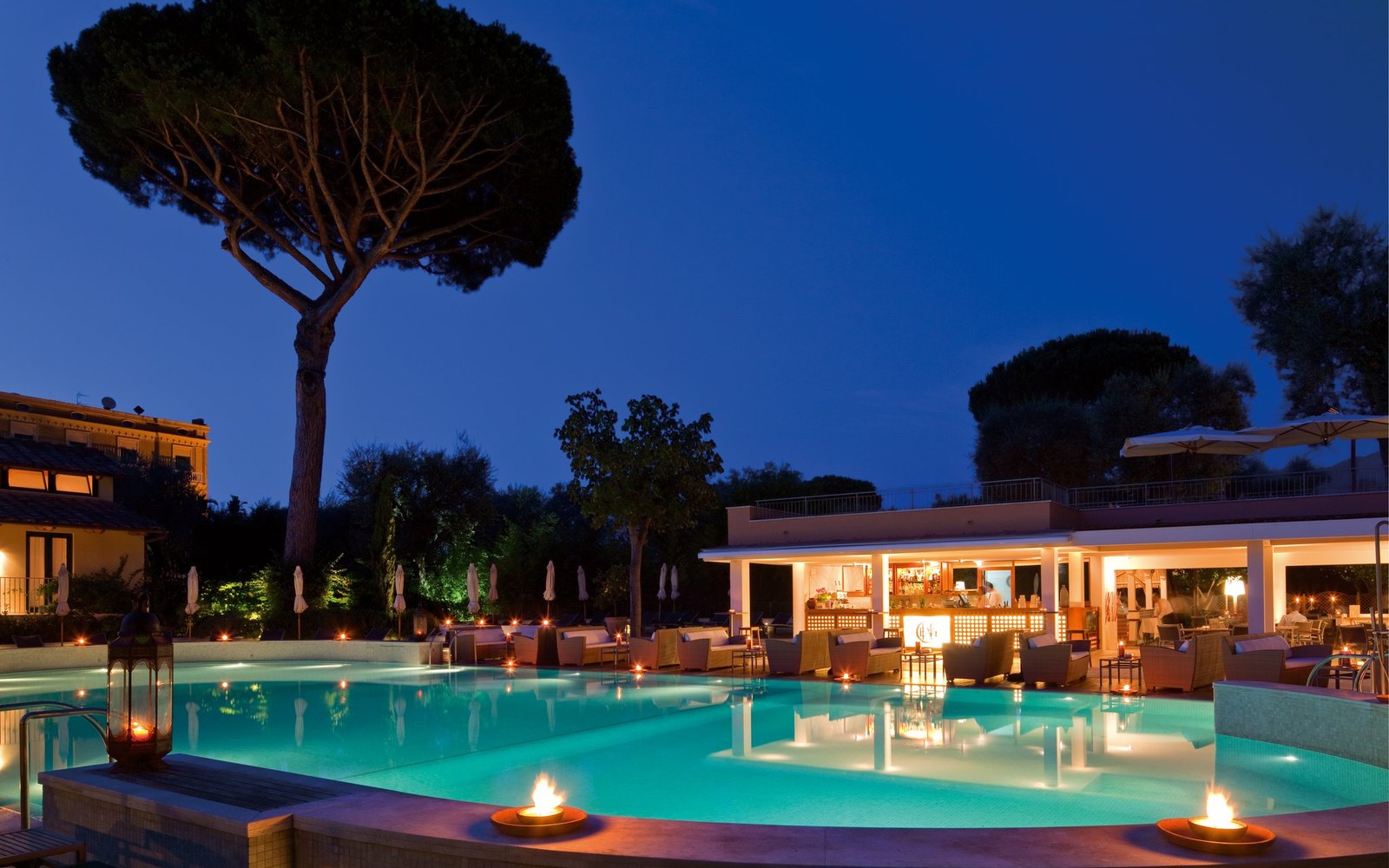 The heated pool at blue hour, under the umbrella pines of the park