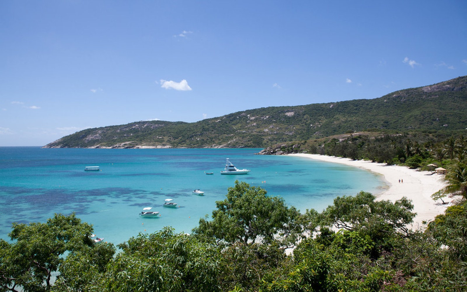 Anchor Bay：度假村的船都停在这片泻湖里，往外就是通向 Ribbon Reefs 的航道